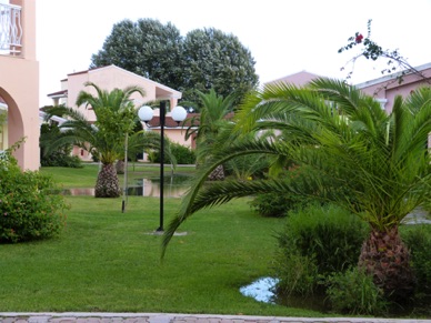 vue sur le jardin