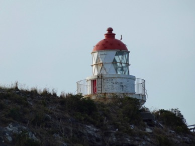 Phare de Taiaroa Head  (12m)
NOUVELLE ZELANDE