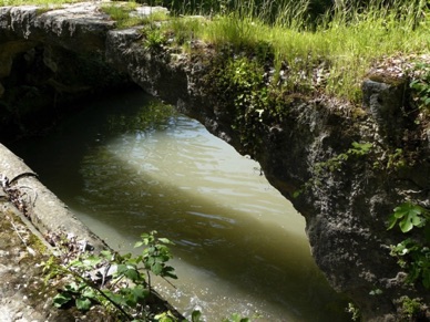 FRANCE
vieux pont caché dans la verdure (30)