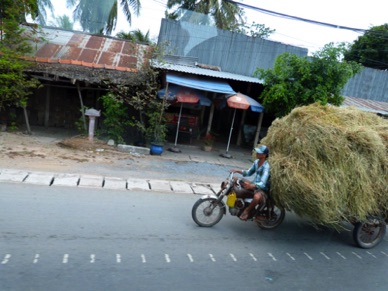 VIETNAM