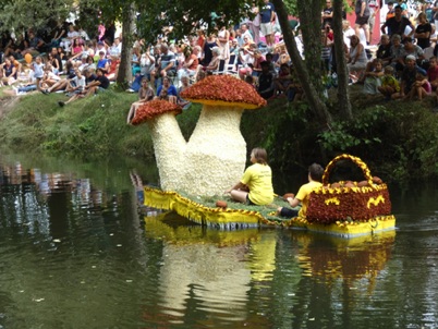 la cueillette des champignons