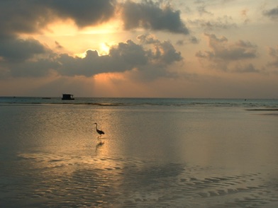 MEERUFENFUSHI
(Maldives)