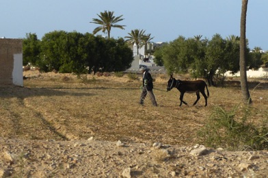 DJERBA