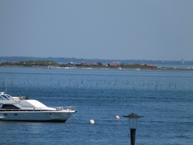 aux Oiseaux
Bassin d'Arcachon
(France)