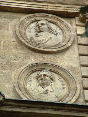 Mascarons décorant le dessus des portes des maisons ou magasins