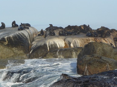 Duiker Island