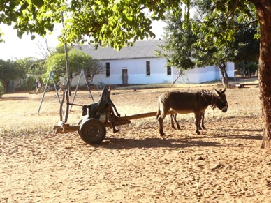 moyen de transport