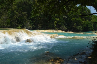 Cascades AGUA AZUL situées au plus profond de la jungle du Chiapas