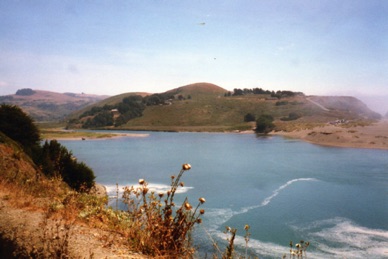 Bodega Bay qui servit de décor aux Oiseaux d'Hitchcock