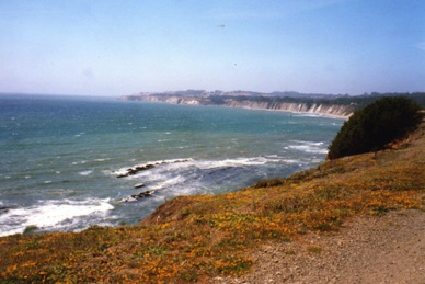 la côte Pacifique