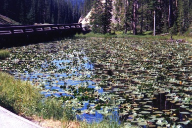 Isa Lake situé sur la ligne de partage des eaux Atlantique et Pacifique