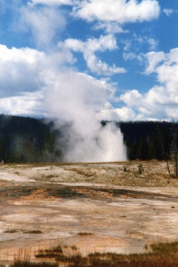 Daisy Geyser : atteint jusqu'à 23 m de haut ; son éruption dure de 3 à 5 minutes.