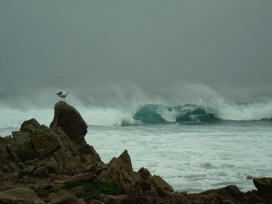 17 Mile Drive : l'océan y est un peu agité …