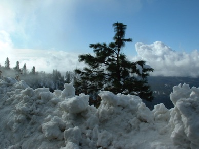 SEQUOIA AND KINGS CANYON