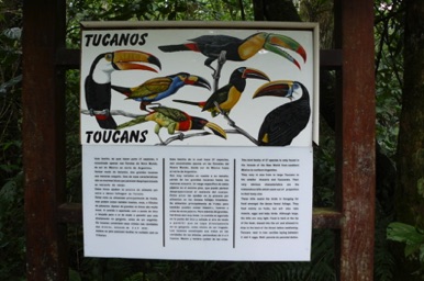 Différents toucans sont visibles dans ce parc