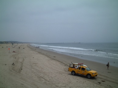 Venice Beach