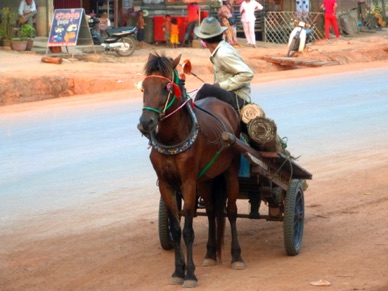 race locale de cheval