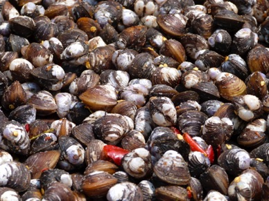 coquillages bien épicés que j'ai goûté !!