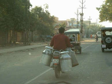 Transport du lait