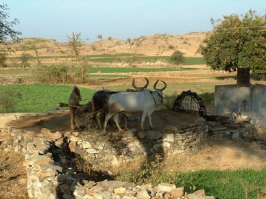 une noria dans la campagne