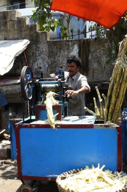 vente de jus de canne à sucre