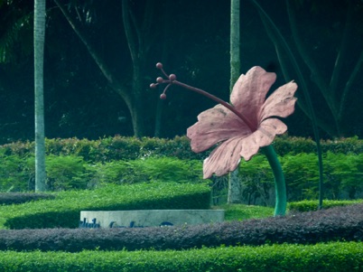 l'hibiscus, fleur emblème