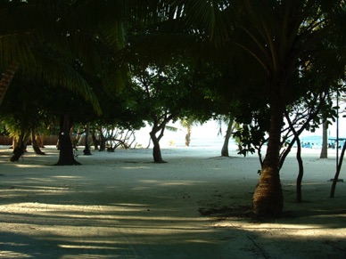 promenade sur "notre" île