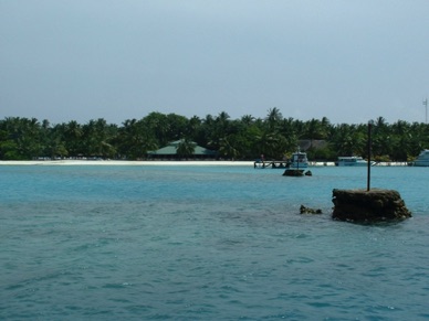 Retour sur notre île