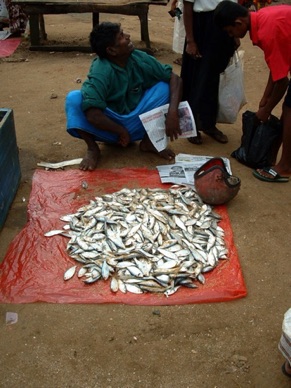 Marché aux poissons,