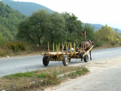 moyens de transport plutôt originaux