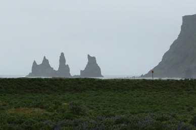 les reynisdrangar sont des pointes de 66 m de haut qui se détachent au large de VIK