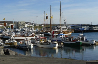 le petit port encombré de bateaux de pêche