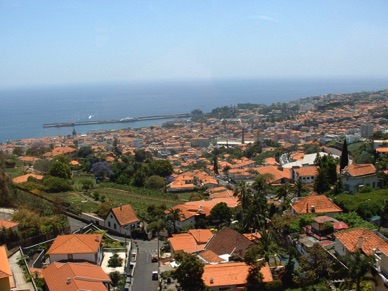 Vue sur Funchal depuis le jardin botanique