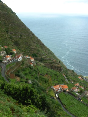 de nombreuses cultures en terrasses tout au long des routes