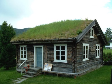 toit de maison recouvert de végétation