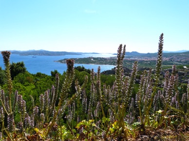 depuis en haut un magnifique panorama s'étale à nos pieds.