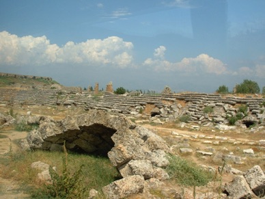 le stade