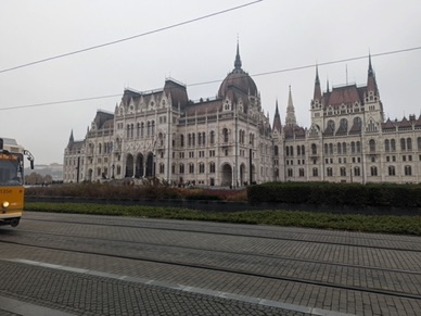 visite termin&eacute;e .... derni&egrave;res images ....