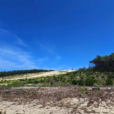 Route de Biscarrosse au Pyla dite route des campings