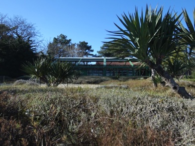 avec vue sur la Dune du Pilat et sur le Bassin d'Arcachon