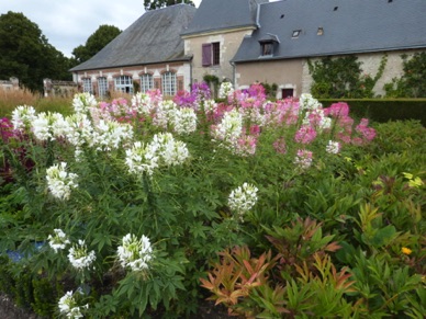 de beaux jardins fleuris !