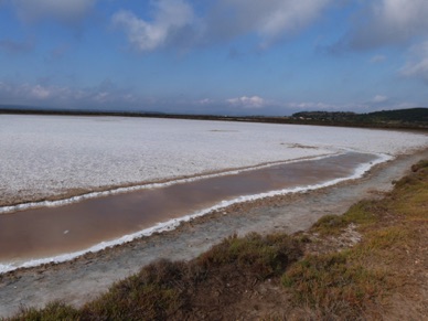 marais salants