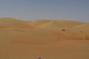 j'adore ces &eacute;tendues de dunes &agrave; l'&eacute;tat vierge