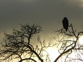 consid&eacute;r&eacute; comme l'un des plus beaux du monde