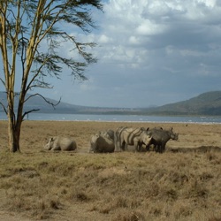 KENYA