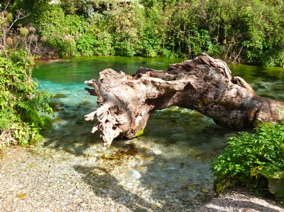 des couleurs splendides ! des couleurs splendides !