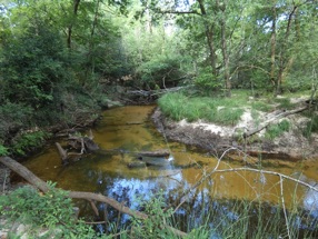 la rivi&egrave;re