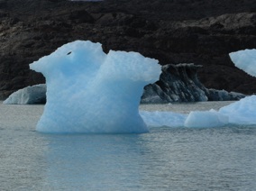 un oiseau ?