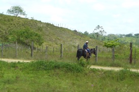 un cavalier dans la campagne