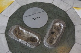 Kaka